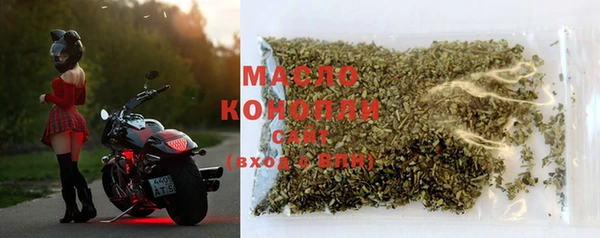 амф Новозыбков