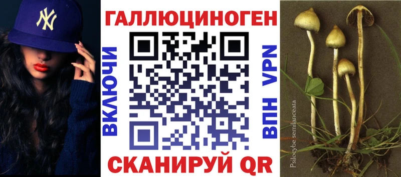 Псилоцибиновые грибы GOLDEN TEACHER  OMG как зайти  Черемхово  купить наркотик 